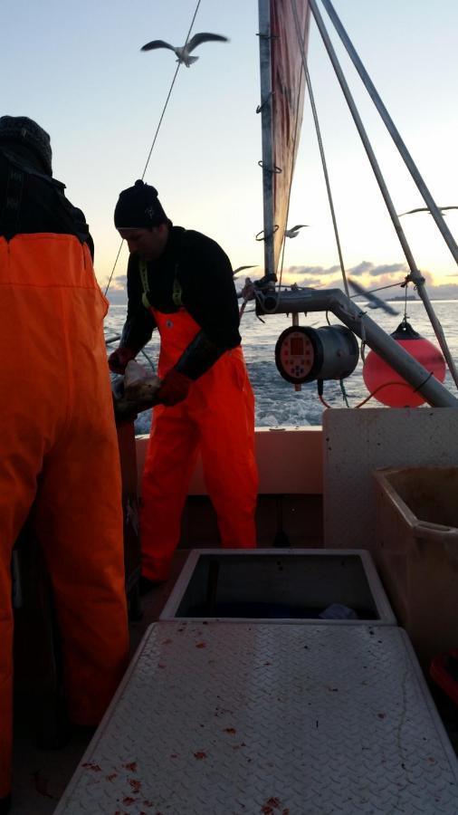 Koselig Hus Til Leie Pa Stokmarknes I Vesteralen Διαμέρισμα Εξωτερικό φωτογραφία